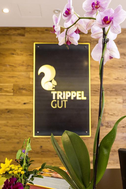 Trippelgut - Schlafgut Feldkirchen in Kärnten Exterior foto